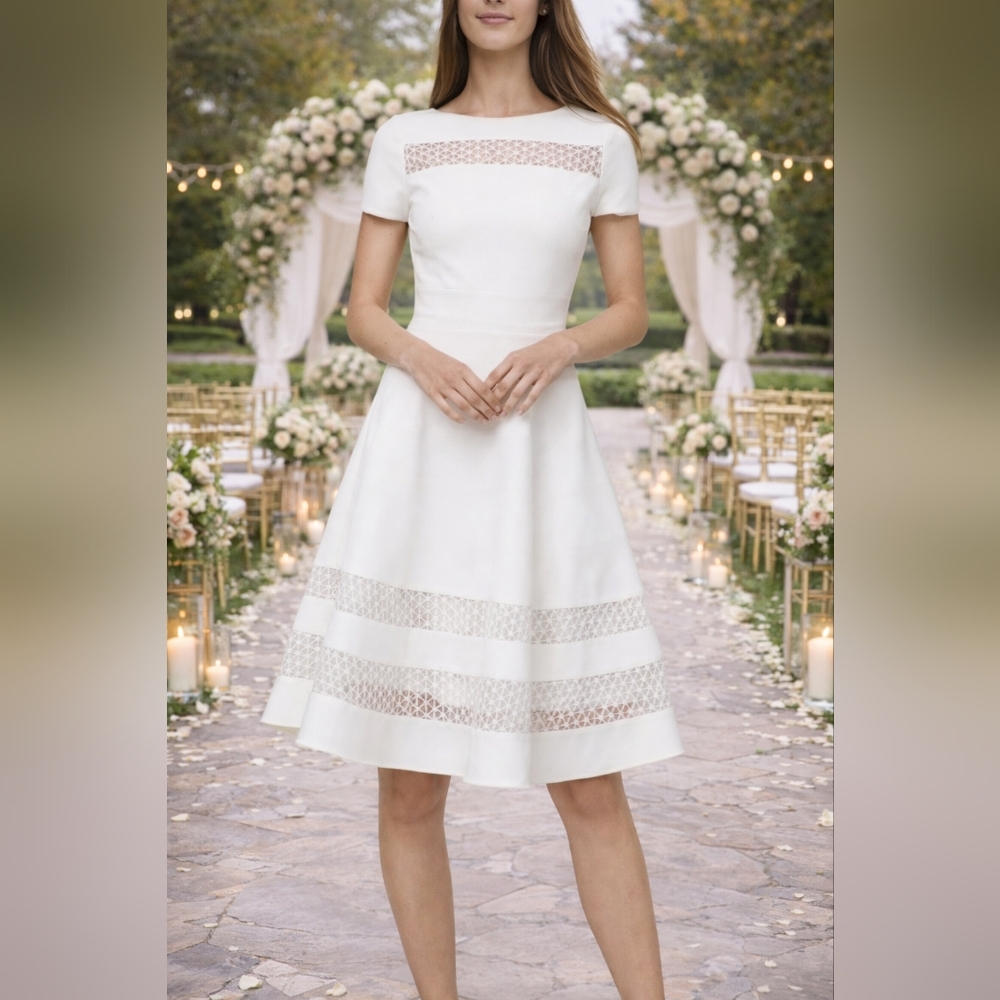 Rare White House Black Market Lace Insert Fit & Flare Dress - Size 10 NWT - Picture 2 of 6